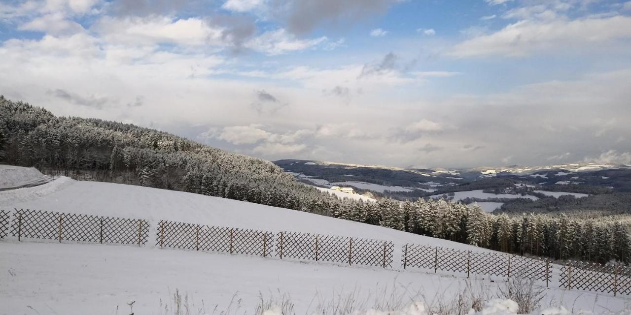 Wald-Panorama-Zimmer Bed & Breakfast Mönichkirchen Dış mekan fotoğraf