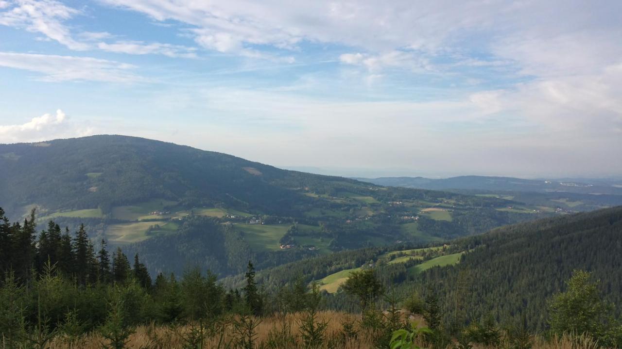 Wald-Panorama-Zimmer Bed & Breakfast Mönichkirchen Dış mekan fotoğraf