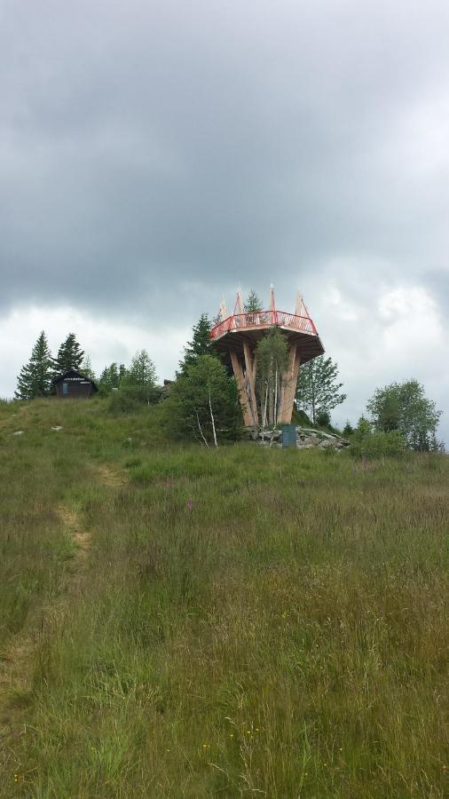 Wald-Panorama-Zimmer Bed & Breakfast Mönichkirchen Dış mekan fotoğraf